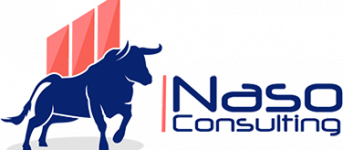 Naso Consulting Logo